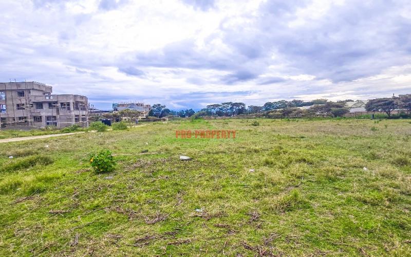 Gated Community Plots For Sale In Naivasha-moi South Lake Road.