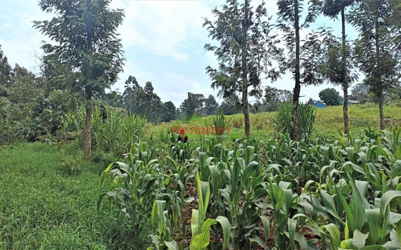 7.5 Acres Very Prime Commercial Land In Kikuyu Town, Next To Sigona Golf Club