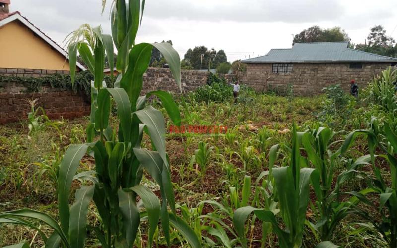 ⅛ Acre in Thogoto for sale