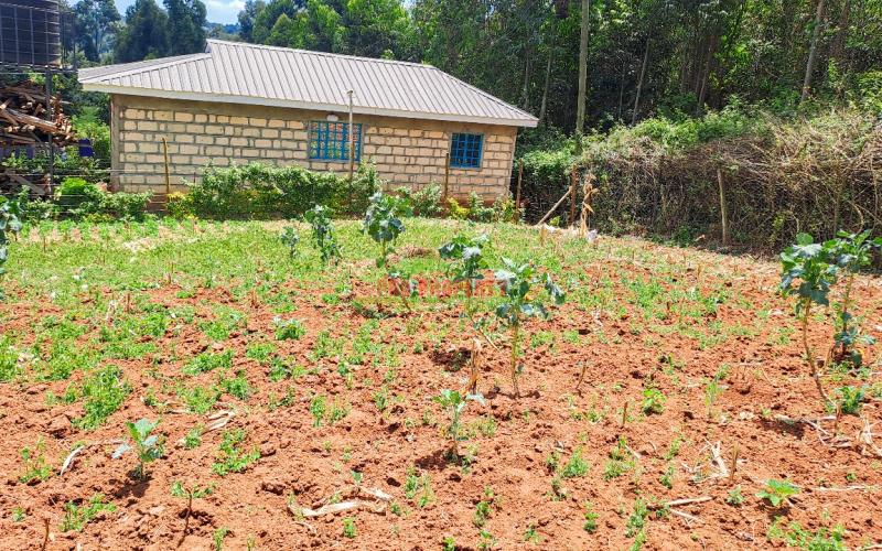 Plot For Sale In Kikuyu, Karai (migumoini Area)