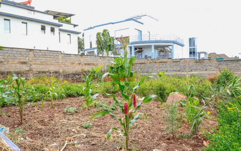 Prime Residential Plot For Sale In Kikuyu, Gikambura