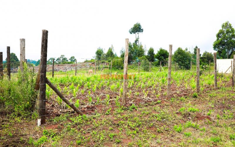 Prime Residential Plot For Sale In Kikuyu, Lusigetti