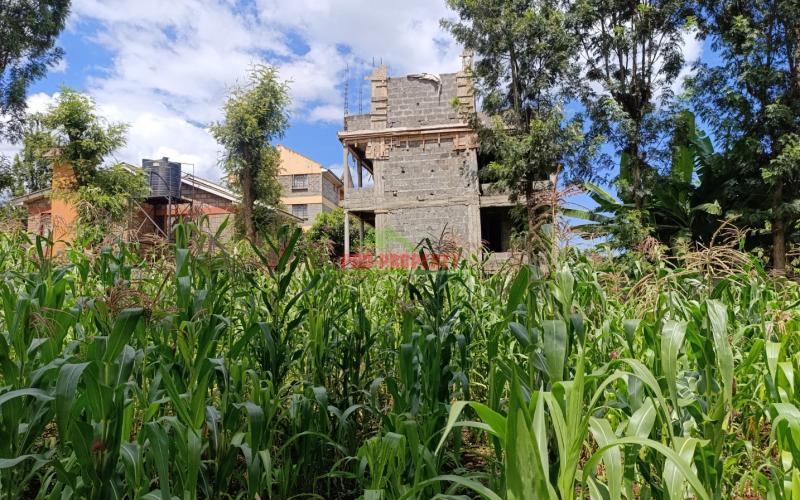 Prime 50 By 100ft Plot For Sale In Ruaka, Muchatha (with Income)