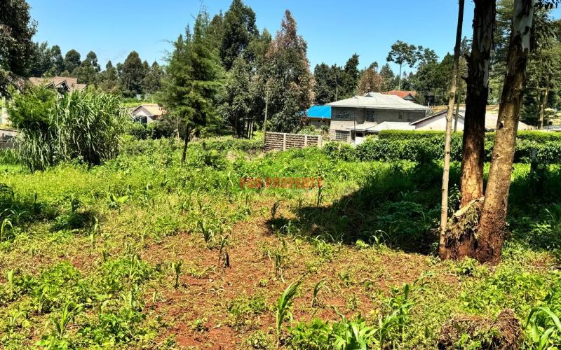 Prime Residential  Plot  For Sale  in Kikuyu, Ondiri .