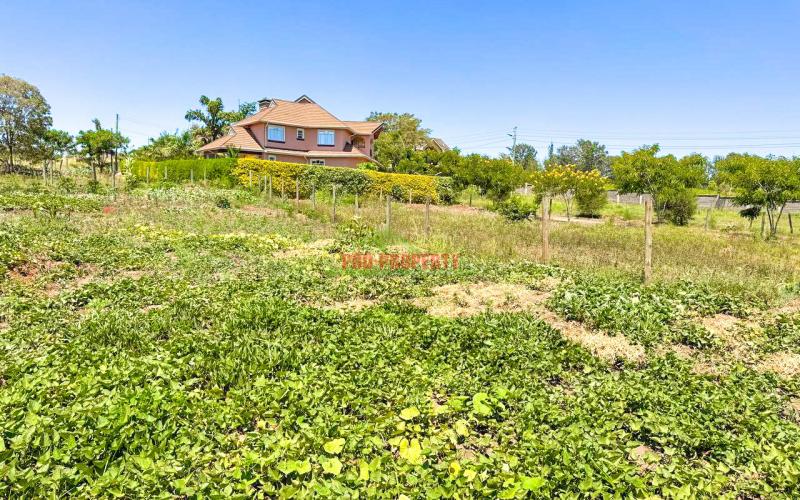 1/4 Acre Plot For Sale In Hard Rock Estate Along Kenyatta Rd