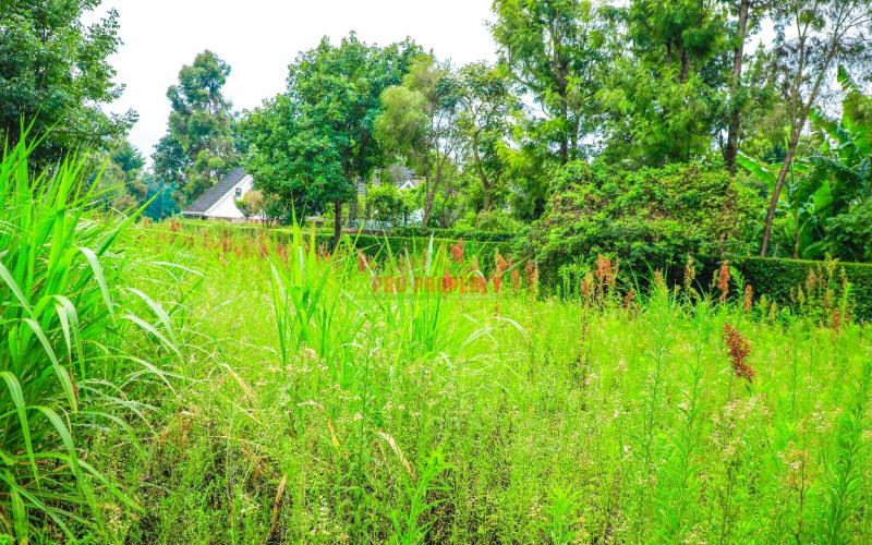 Prime Commercial Plot For Sale In Kikuyu, Thogoto