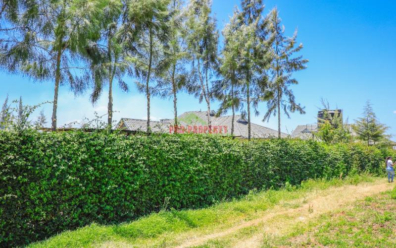 Prime Residential Plots For Sale In Kikuyu, Kamangu