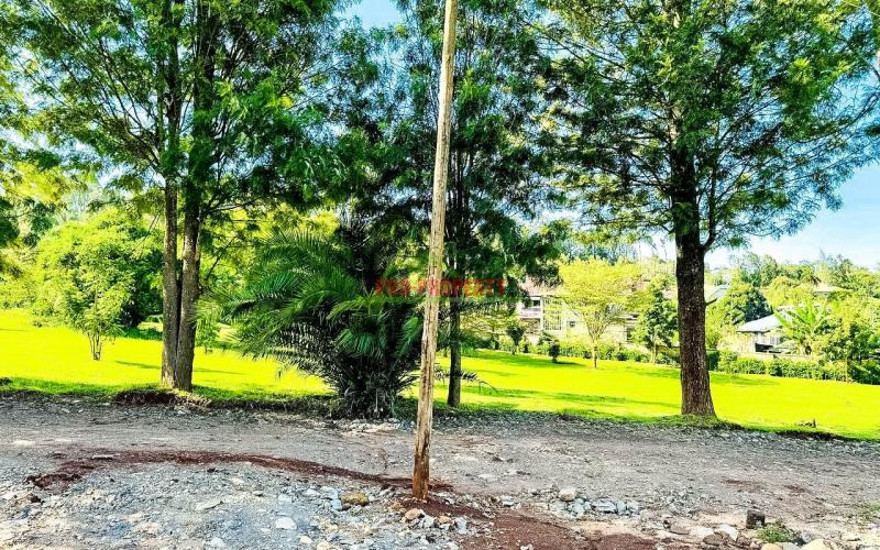 Prime 1/4 Acre Plots For Sale In Ngong (tulivu Estate)