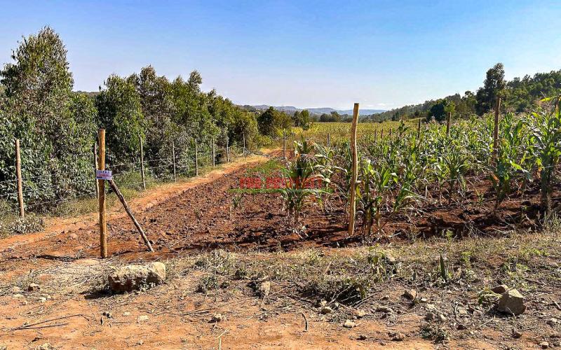 Residential Plots For Sale In Kikuyu ,kamangu.