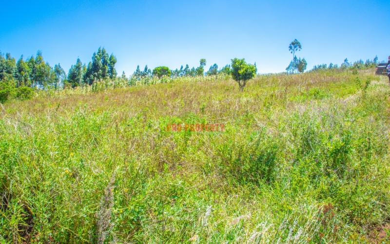 Prime Residential Plots For Sale In Kikuyu, Kamangu