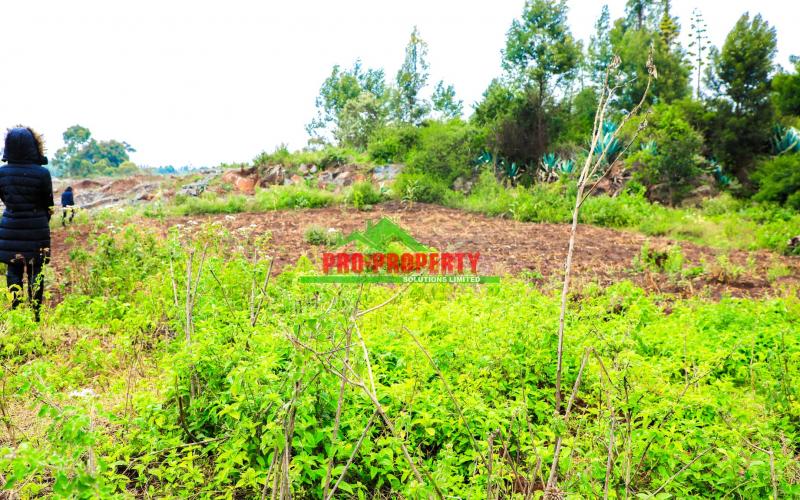 Own Prime Residential Plot In Kikuyu, Lusigetti