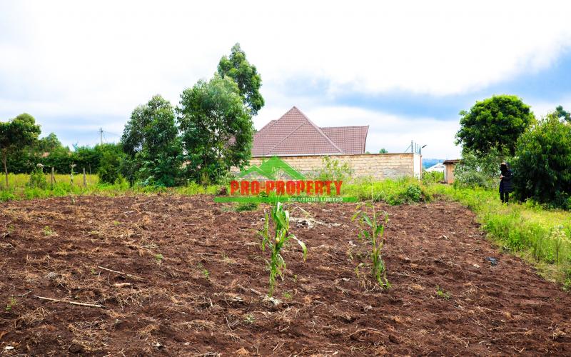 Own Prime Residential Plot In Kikuyu, Lusigetti