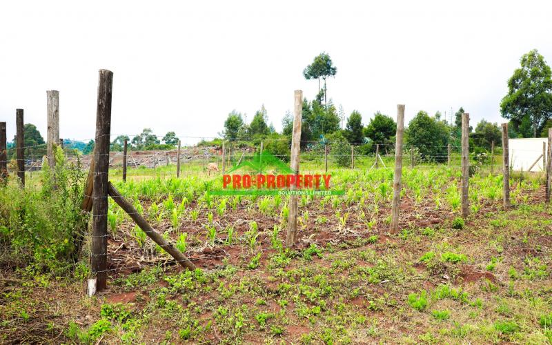Own Prime Residential Plot In Kikuyu, Lusigetti