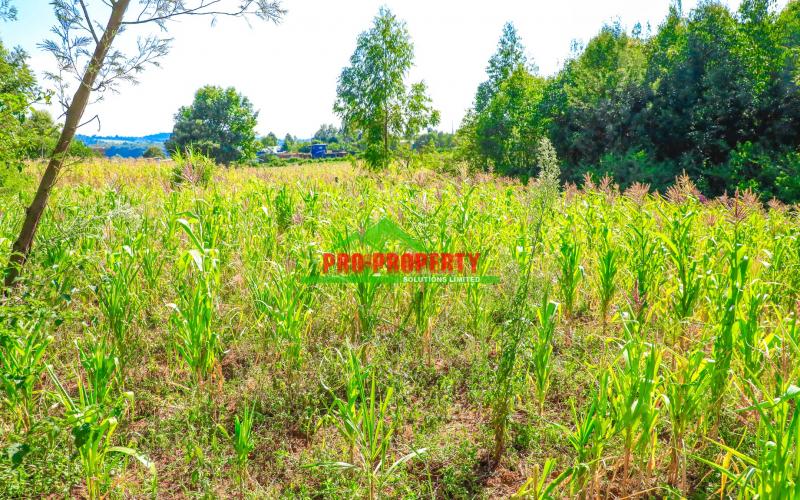 Prime 1/4 Acre Residential Plot For Sale In Ondiri, Kikuyu – Perfect For Your Dream Home!
