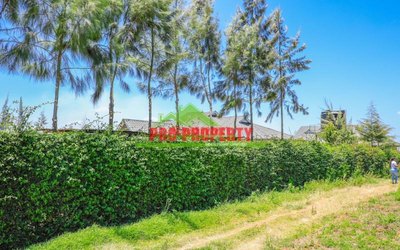 Explore 50 X 100 Ft  Prime Residential Plots For Sale In Kikuyu, Kamangu