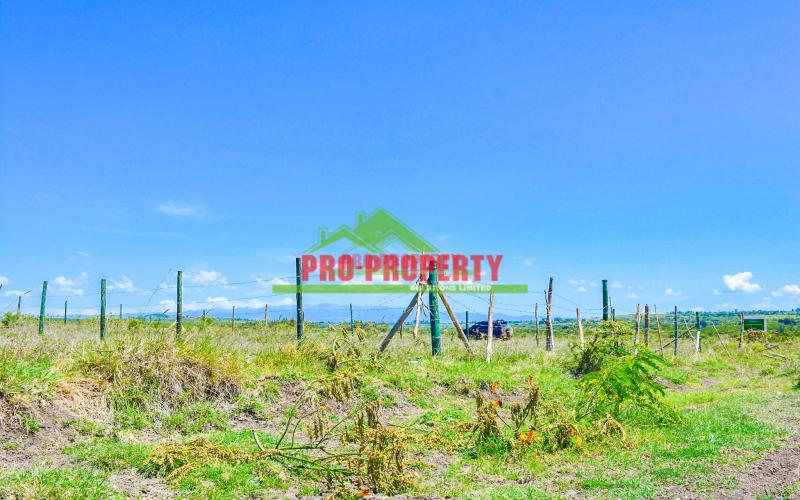 Affordable 50 By 100 Ft Residential Plots For Sale In Naromoru, Nanyuki