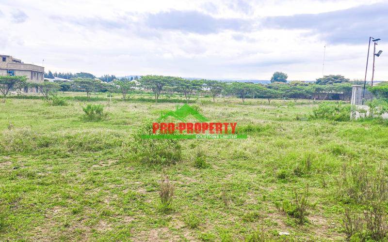 Gated 50 By 100 Ft Estate Plots For Sale In Moi South Lake Road, Naivasha – Ideal For Holiday Homes Or Airbnb Investment