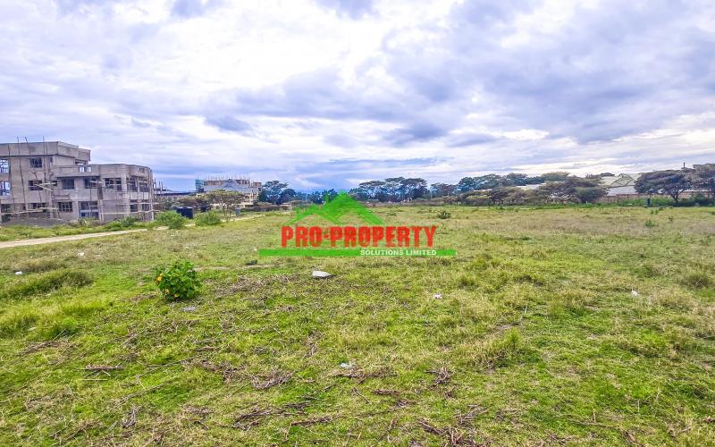 Gated 50 By 100 Ft Estate Plots For Sale In Moi South Lake Road, Naivasha – Ideal For Holiday Homes Or Airbnb Investment