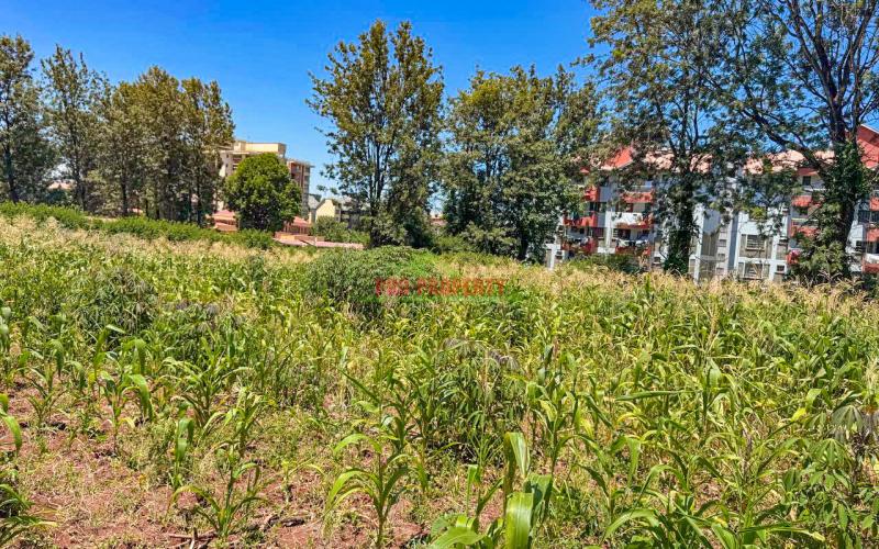 Commercial 3/4 Acre Plot For Sale In Thindigua, Kiambu