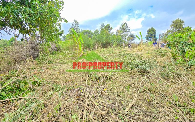 🏡 Premium 50 X 100 Ft (1/8 Acre) Residential Plot For Sale – Migumoini, Kikuyu (gated Community Concept)