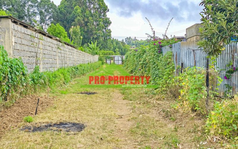 🏡 Premium 50 X 100 Ft (1/8 Acre) Residential Plot For Sale – Migumoini, Kikuyu (gated Community Concept)