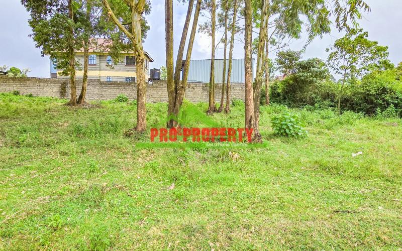 Prime 50 X 100 Ft Mixed-use Plots For Sale In Kikuyu - Muthure, Cura – Ideal Investment!