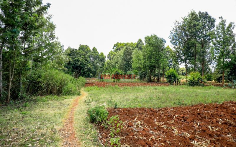 Prime Residential Plot For Sale Kikuyu, Gikambura