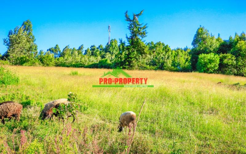 Prime Residential 1/4 Acre For Sale In Lusingetti