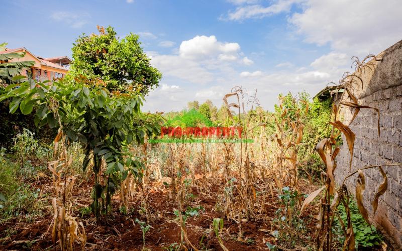 Prime Commercial 50 By 100fts Plot For Sale In Kikuyu, Thogoto.