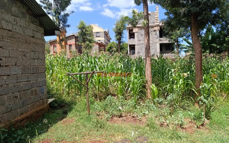 Prime 50 By 100ft Plot For Sale In Ruaka, Muchatha (with Income)