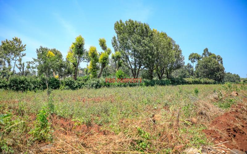 Residential Serviced Plots In Kikuyu, Ondiri