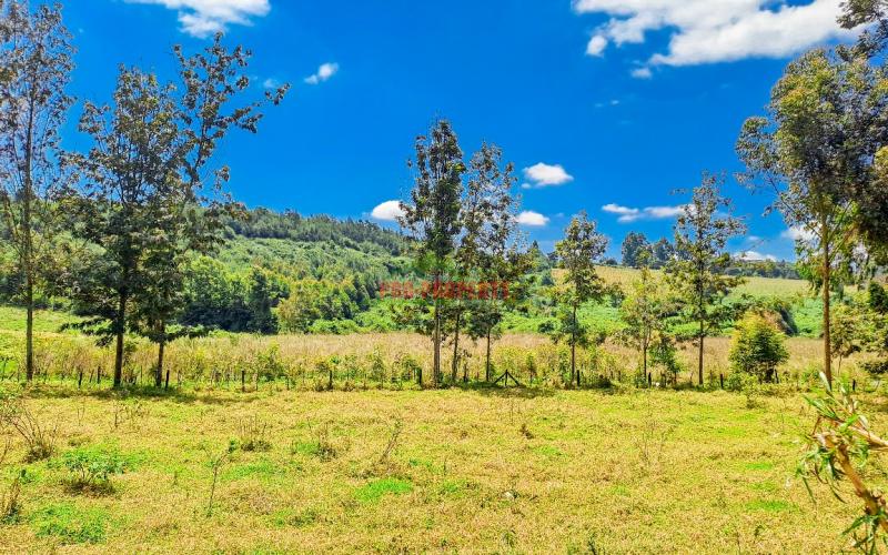 Prime Residential Plots For Sale In Kikuyu, Ondiri In A Gated Community Concept