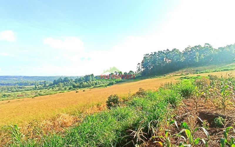 Residential Plots For Sale In Kikuyu, Gikambura.