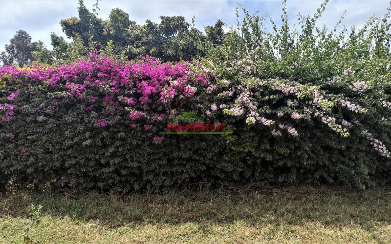 Prime Commercial Plot For Sale In Kidfarmaco Kikuyu, Kikuyu Suburbs