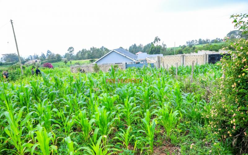 Prime Residential Plot For Sale In Kikuyu, Kamangu.