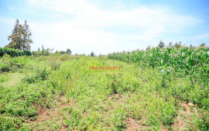 Prime Residential Plots For Sale In Kikuyu, Kamangu (valley View)