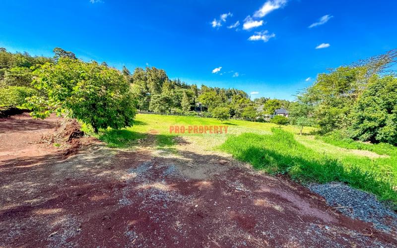 Prime 1/4 Acre Plots For Sale In Ngong (tulivu Estate)