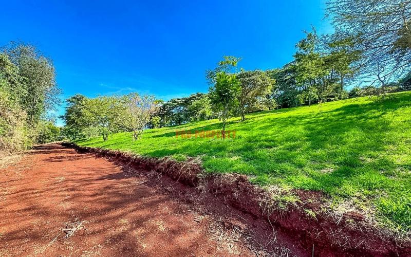 Prime 1/4 Acre Plots For Sale In Ngong (tulivu Estate)