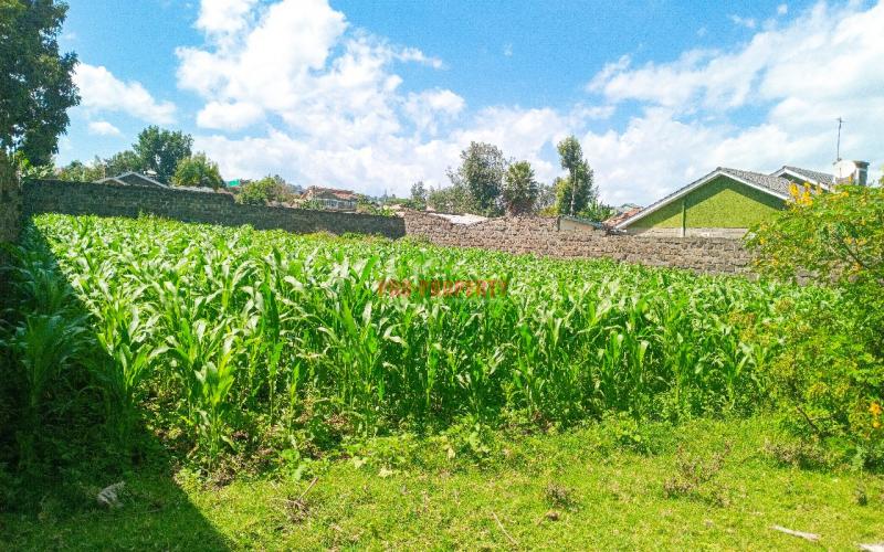 1/4 Acre Residential Plot For Sale In Olive Inn Estate, Nakuru, Kiamunyi.