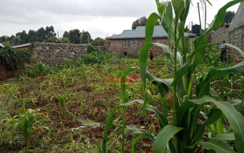 ⅛ Acre In Thogoto For Sale