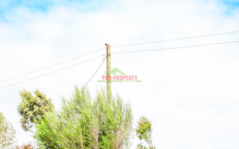 Prime Residential Plot For Sale In Kikuyu, Lusigetti