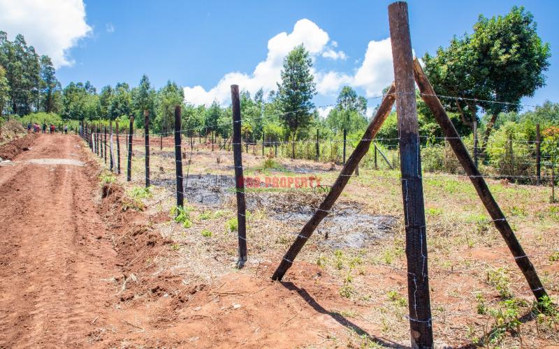 Prime Residential Plots For Sale In Kikuyu, Gikambura - Jambu Tv.