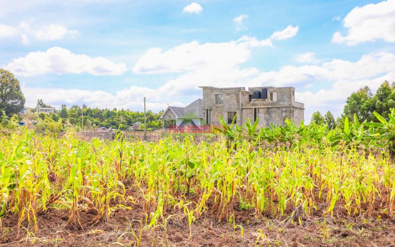 Prime Residential Plots For Sale In Kikuyu, Rose Gate.