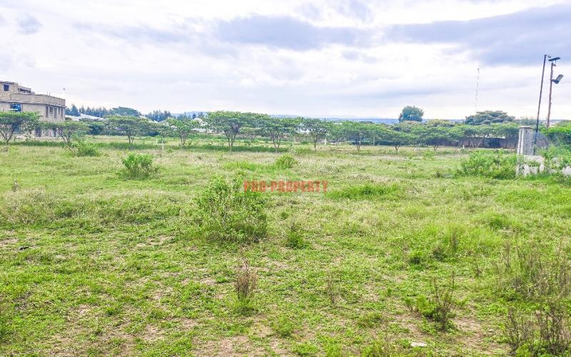 Gated Community Plots For Sale In Naivasha-moi South Lake Road.