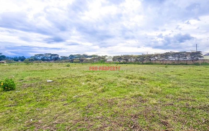 Gated Community Plots For Sale In Naivasha-moi South Lake Road.