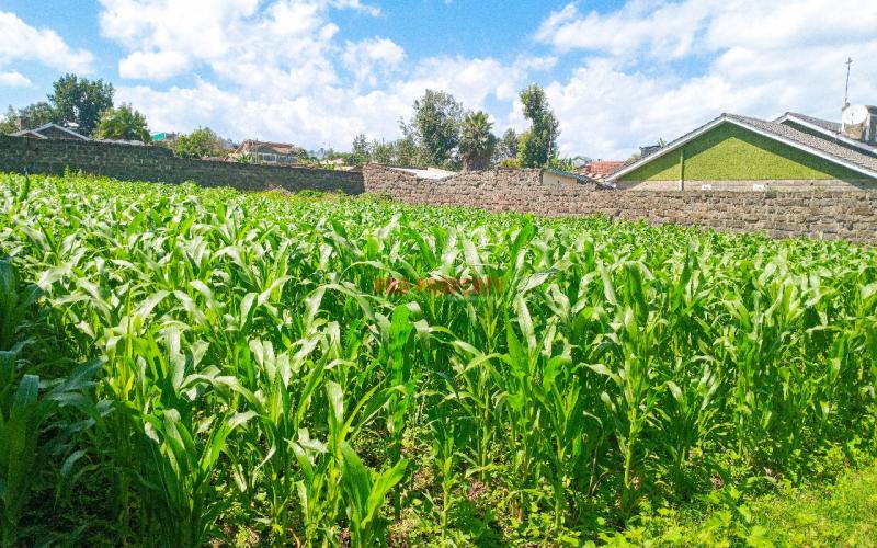 1/4 Acre Residential Plot For Sale In Olive Inn Estate, Nakuru, Kiamunyi.