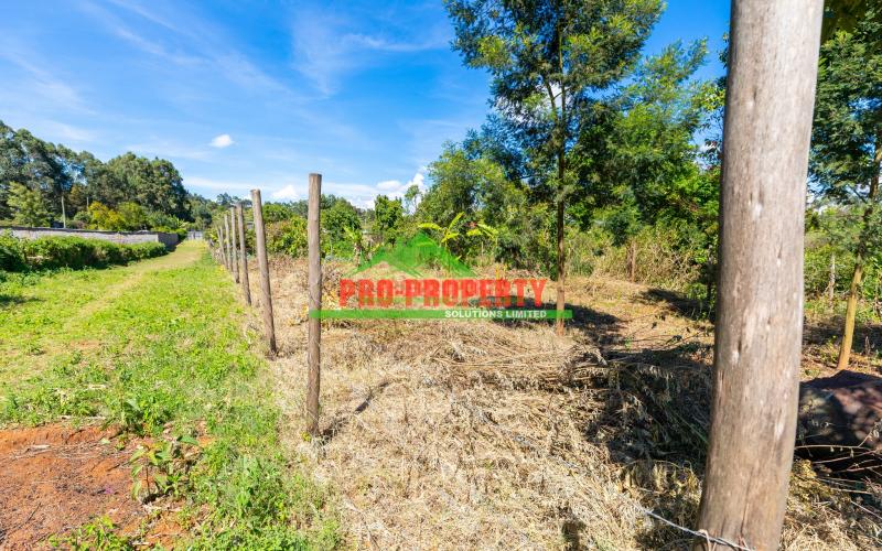 Prime Residential Plot For Sale In Kikuyu, Migumoini