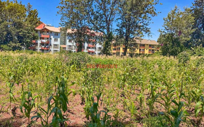 Commercial 3/4 Acre Plot for Sale in Thindigua, Kiambu