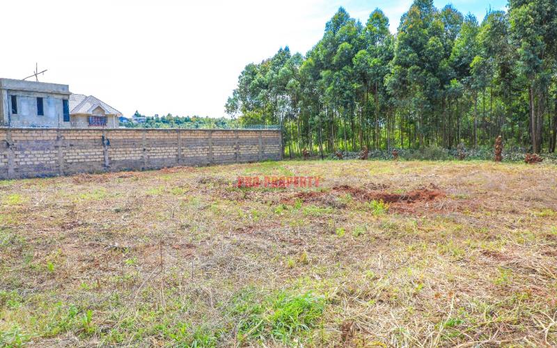 Prime Residential Plots for Sale in Kikuyu, Rose Gate.
