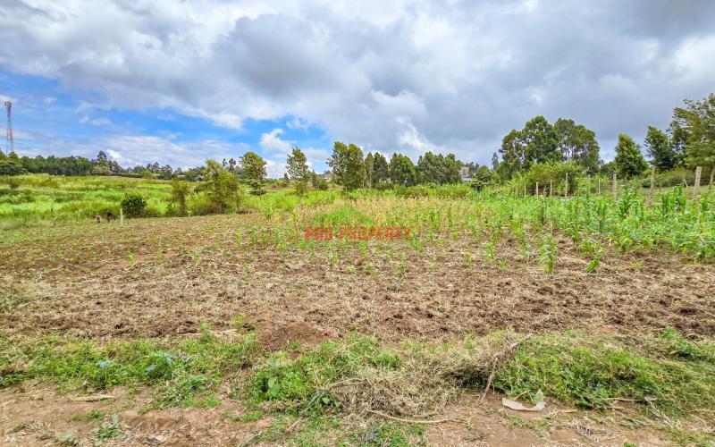 Prime Residential Plot For Sale In Kikuyu, Gikambura